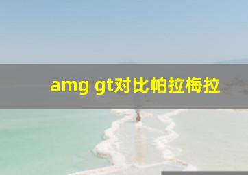 amg gt对比帕拉梅拉